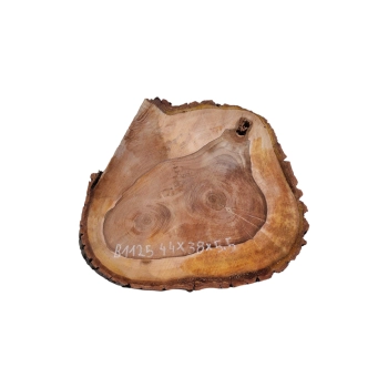 Plaster Orzecha Włoskiego 44x38x5,5cm