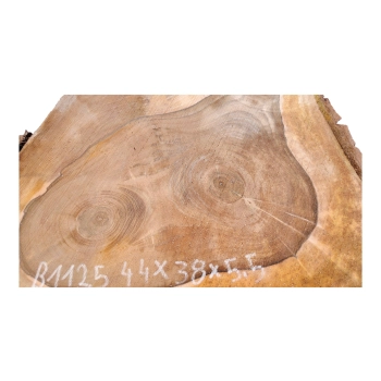 Plaster Orzecha Włoskiego 44x38x5,5cm