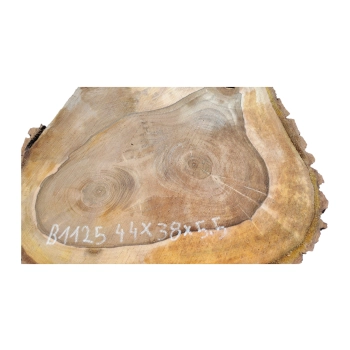 Plaster Orzecha Włoskiego 44x38x5,5cm