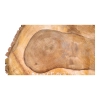 Plaster Orzecha Włoskiego 51x32x5,5cm
