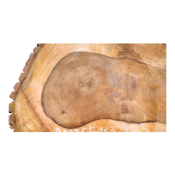 Plaster Orzecha Włoskiego 51x32x5,5cm