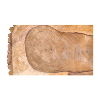 Plaster Orzecha Włoskiego 50x33x6,5cm
