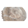 Plaster Orzecha Włoskiego 41x36x5cm