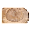 Plaster Orzecha Włoskiego 44x35x5cm