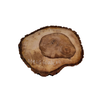 Plaster Orzecha Włoskiego 40x32x4cm