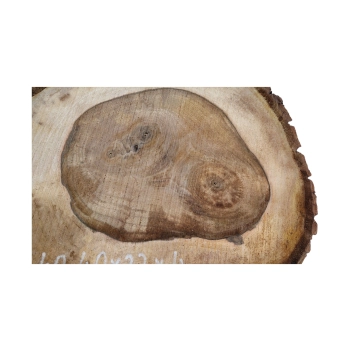 Plaster Orzecha Włoskiego 40x32x4cm