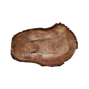 Plaster Orzecha Włoskiego 41x26x3cm