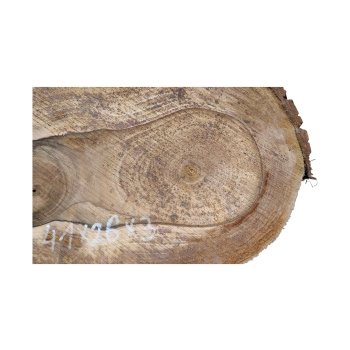 Plaster Orzecha Włoskiego 41x26x3cm