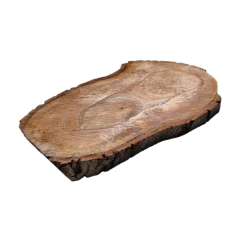 Plaster Orzecha Włoskiego 41x26x3cm