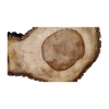 Plaster Orzecha Włoskiego 50x26x4cm