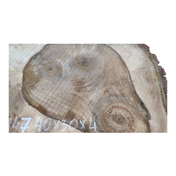 Plaster Orzecha Włoskiego 40x30x4cm