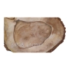 Plaster Orzecha Włoskiego 41x29x4cm