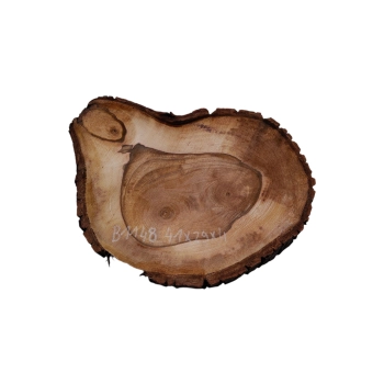 Plaster Orzecha Włoskiego 41x29x4cm