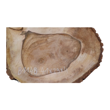 Plaster Orzecha Włoskiego 41x29x4cm