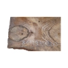 Plaster Orzecha Włoskiego 45x22x3cm