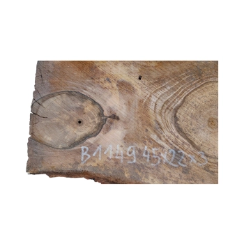Plaster Orzecha Włoskiego 45x22x3cm