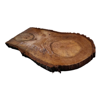 Plaster Orzecha Włoskiego 45x22x3cm