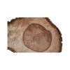 Plaster Orzecha Włoskiego 48x28x4cm