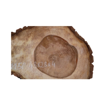 Plaster Orzecha Włoskiego 48x28x4cm