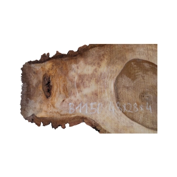 Plaster Orzecha Włoskiego 48x28x4cm