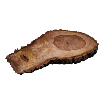 Plaster Orzecha Włoskiego 48x28x4cm