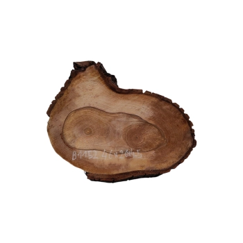 Plaster Orzecha Włoskiego 46x26x4,5cm