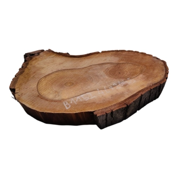 Plaster Orzecha Włoskiego 46x26x4,5cm