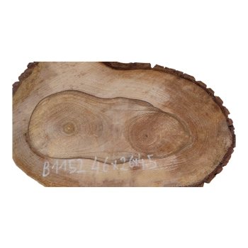 Plaster Orzecha Włoskiego 46x26x4,5cm