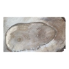 Plaster Orzecha Włoskiego 42x28x4cm