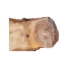 Plaster Orzecha Włoskiego 56x22x7cm