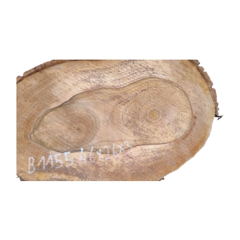 Plaster Orzecha Włoskiego 46x26x3cm