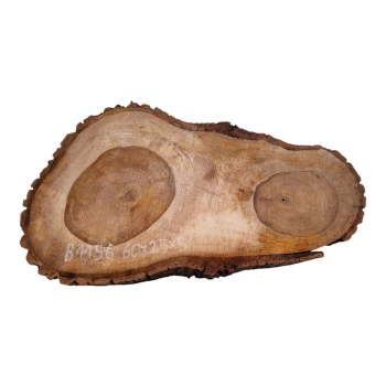 Plaster Orzecha Włoskiego 60x25x5cm