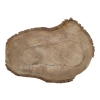 Plaster Orzecha Włoskiego 41x26x3cm
