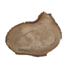 Plaster Orzecha Włoskiego 46x26x3cm
