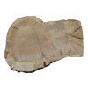 Plaster Dębowy 40x28x5cm Dąb
