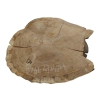 Plaster Dębowy 43x40x4cm Dąb