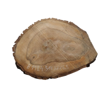 Plaster Orzecha Włoskiego 51x37x6,5cm