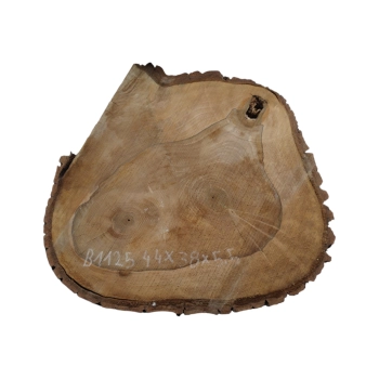 Plaster Orzecha Włoskiego 44x38x5,5cm