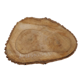 Plaster Orzecha Włoskiego 51x32x5,5cm