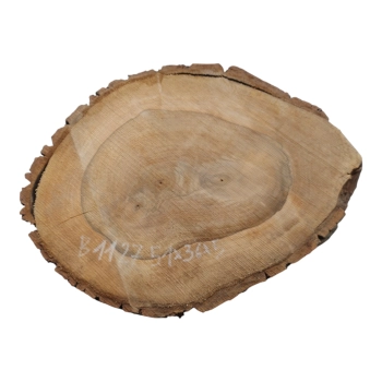 Plaster Orzecha Włoskiego 51x36x5cm