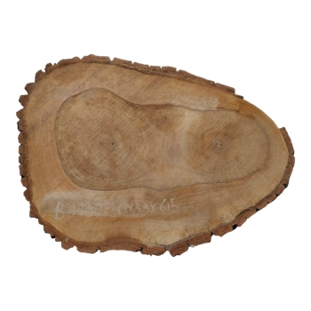 Plaster Orzecha Włoskiego 50x33x6,5cm