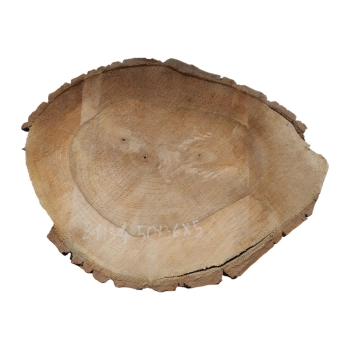 Plaster Orzecha Włoskiego 50x36x5cm