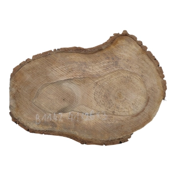 Plaster Orzecha Włoskiego 41x26x3cm