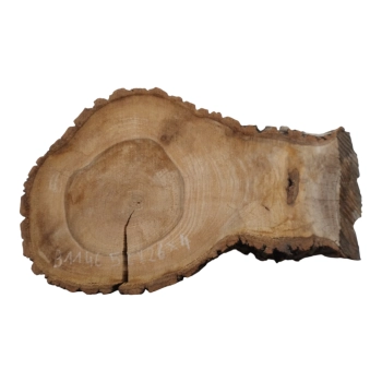 Plaster Orzecha Włoskiego 50x26x4cm