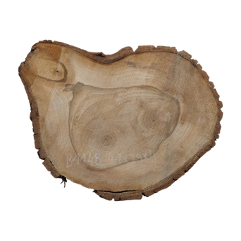 Plaster Orzecha Włoskiego 41x29x4cm