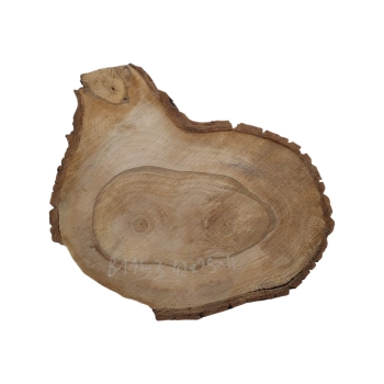 Plaster Orzecha Włoskiego 42x28x4cm