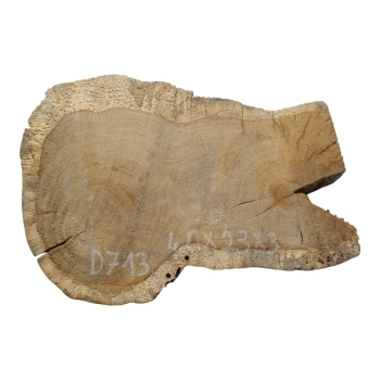 Plaster Dębowy 40x23x3cm Dąb