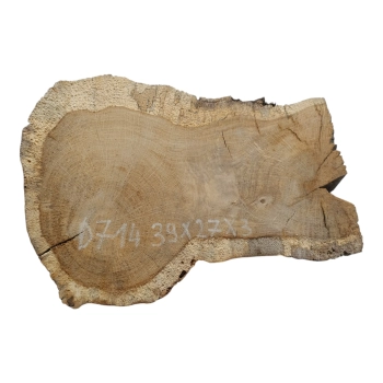 Plaster Dębowy 39x27x3cm Dąb
