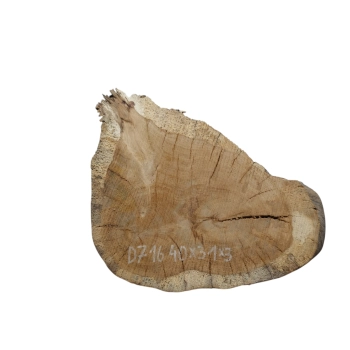 Plaster Dębowy 40x31x3cm Dąb