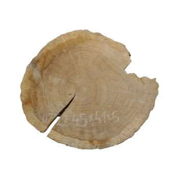 Plaster Dębowy 45x41x5cm Dąb